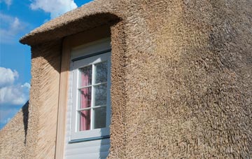 Neighbourne thatch roof disadvantages